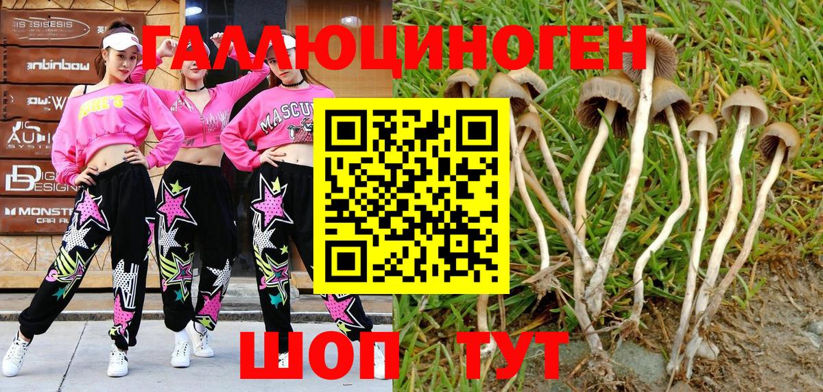 Псилоцибиновые грибы мицелий Славгород
